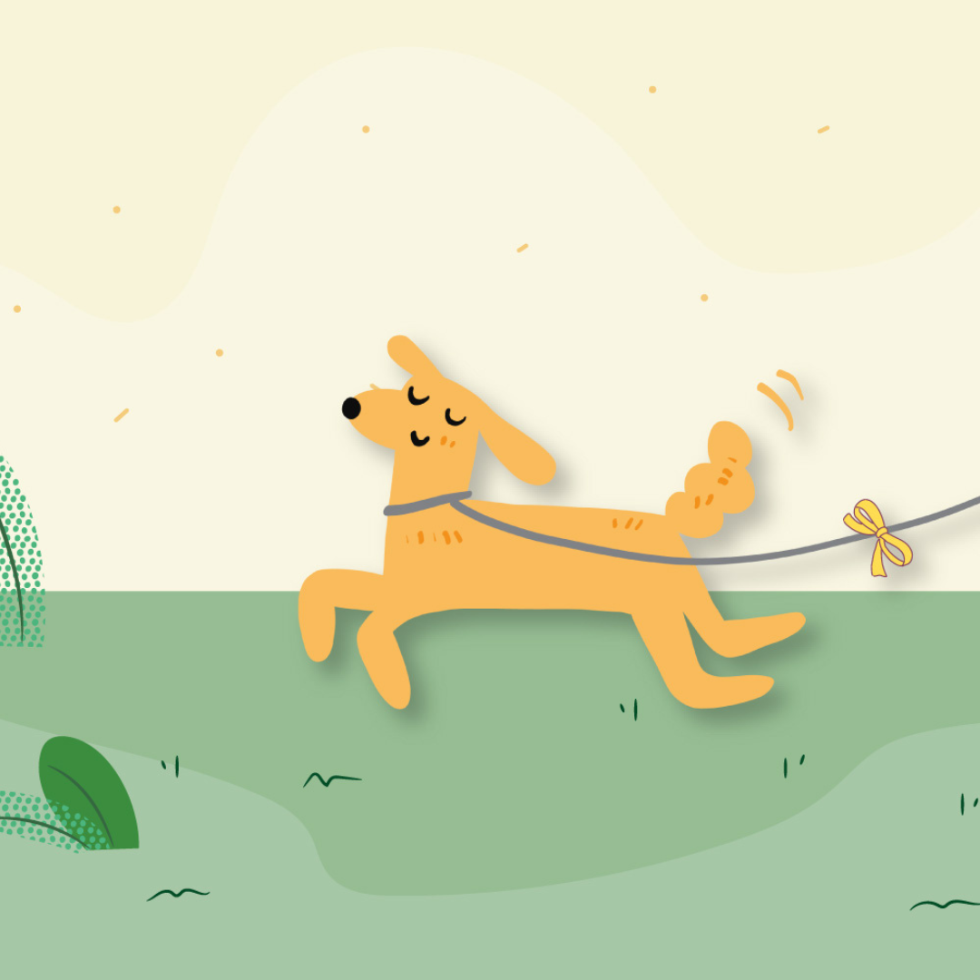 Kolor żółty w psim świecie? - czyli o Yellow Dog Project słów kilka.